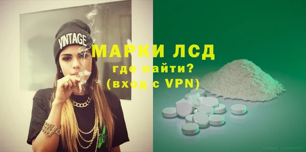 PSILOCYBIN Алзамай