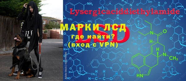 PSILOCYBIN Алзамай