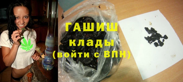 PSILOCYBIN Алзамай