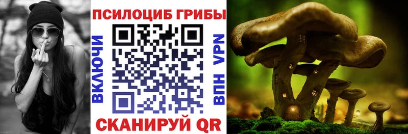 где купить наркоту  Рошаль  Псилоцибиновые грибы мицелий 